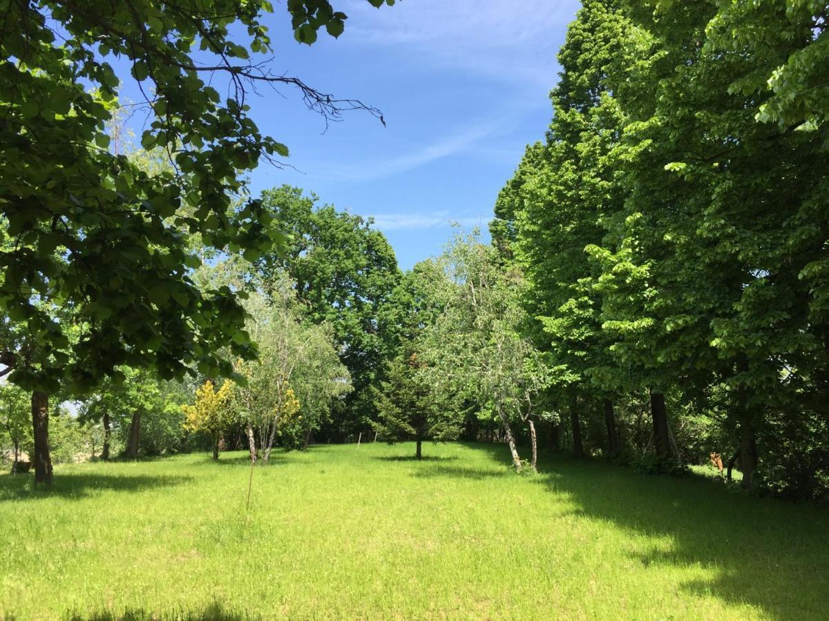 Happy Hill - Appartamento Quercia - Natura E Relax Santa Maria Rocca Buitenkant foto