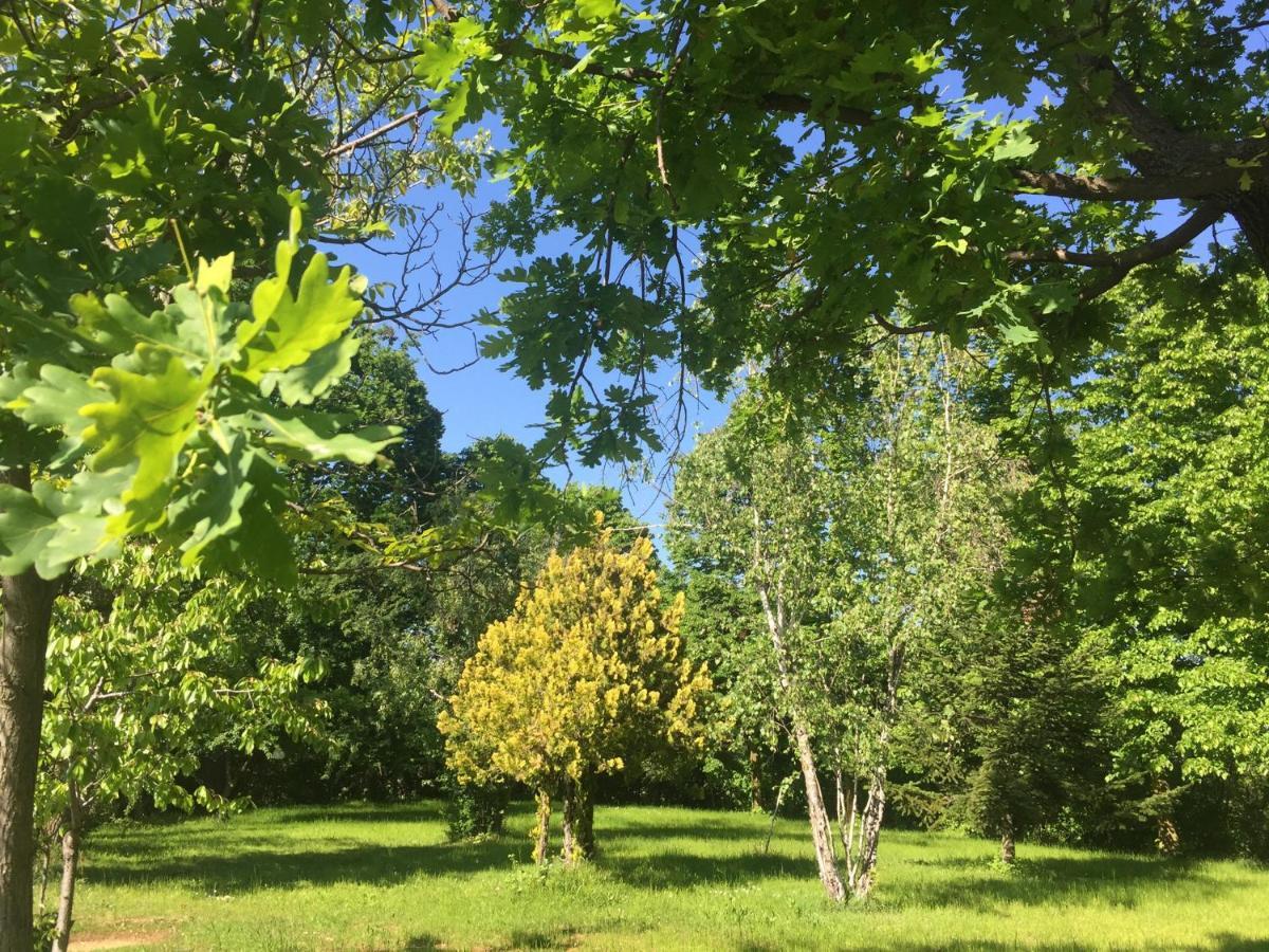 Happy Hill - Appartamento Quercia - Natura E Relax Santa Maria Rocca Buitenkant foto
